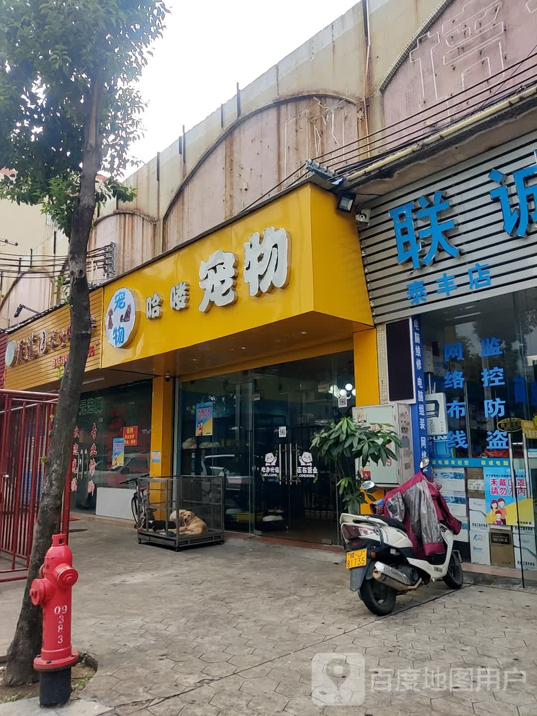 哈喽宠物(顷安北路店)