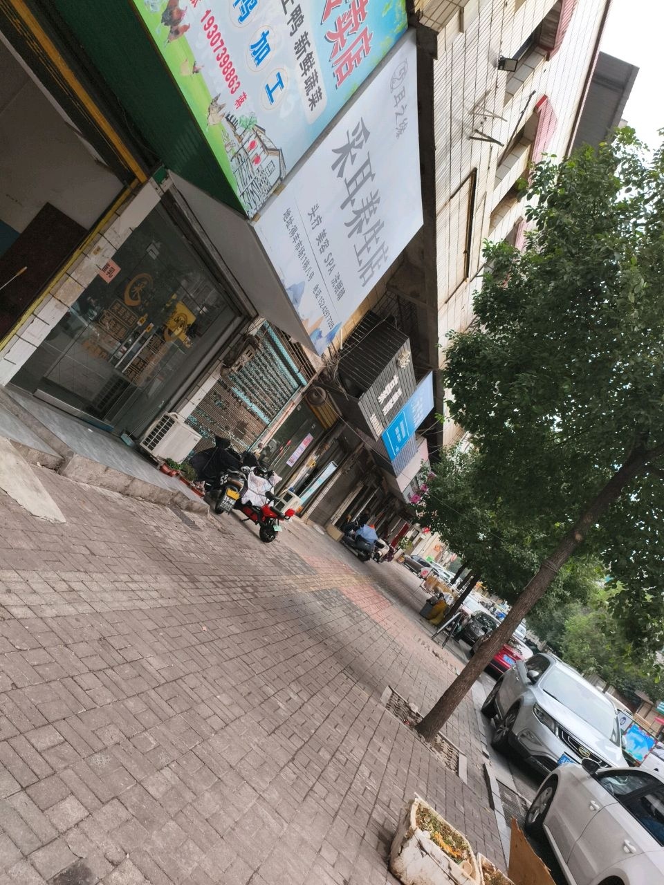 耳之缘采耳养生馆