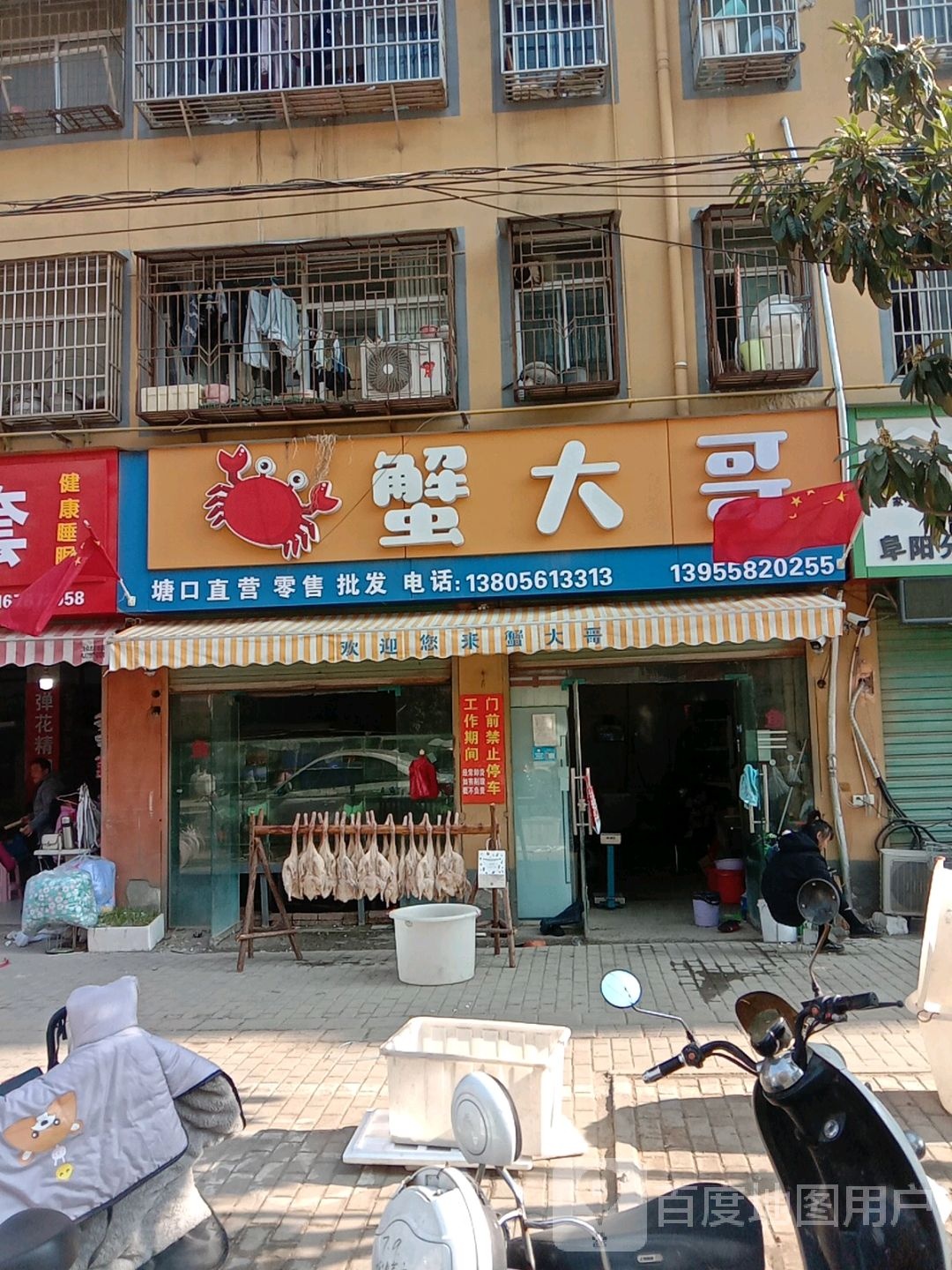 蟹大哥