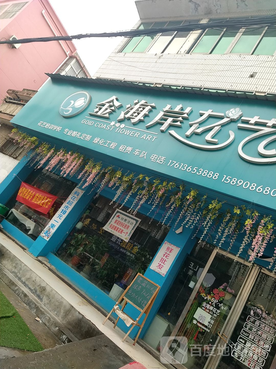 邓州市金海岸花艺