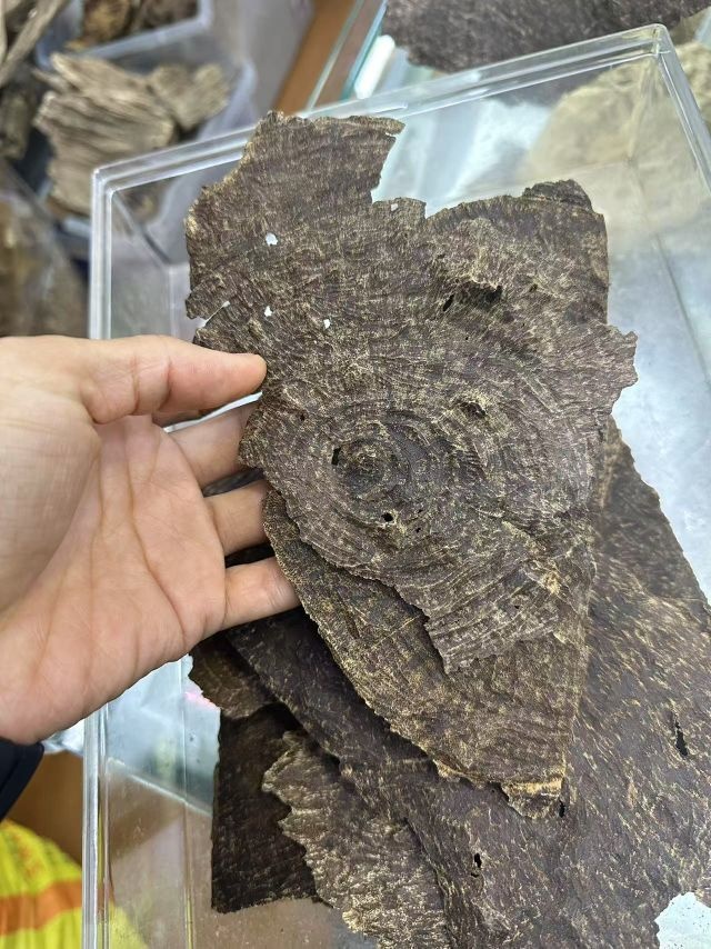 海口市东湖黄花梨沉香古玩城