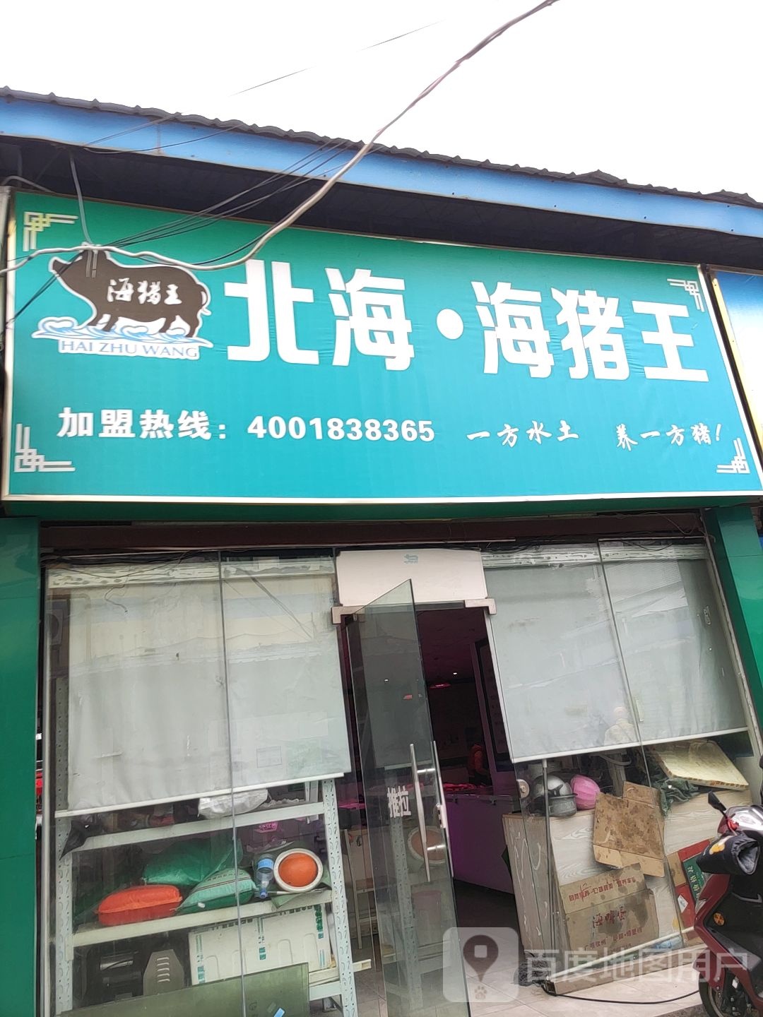 北海海猪王
