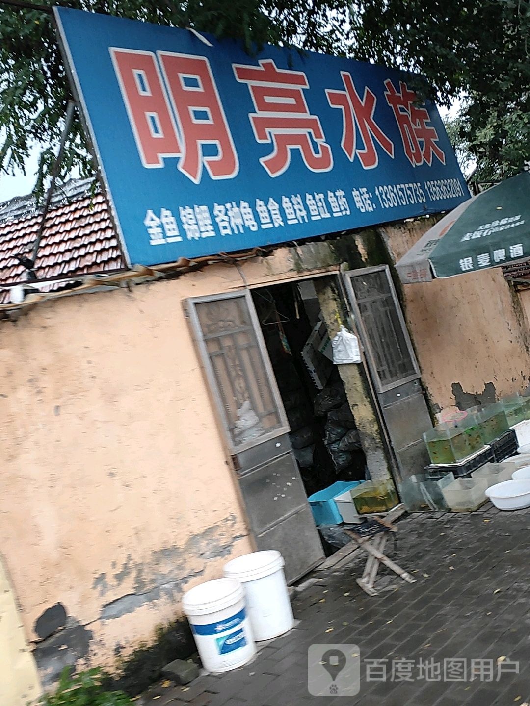 明亮水族