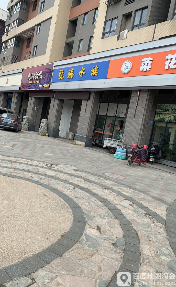 腾龙水族(锦绣姜城店)