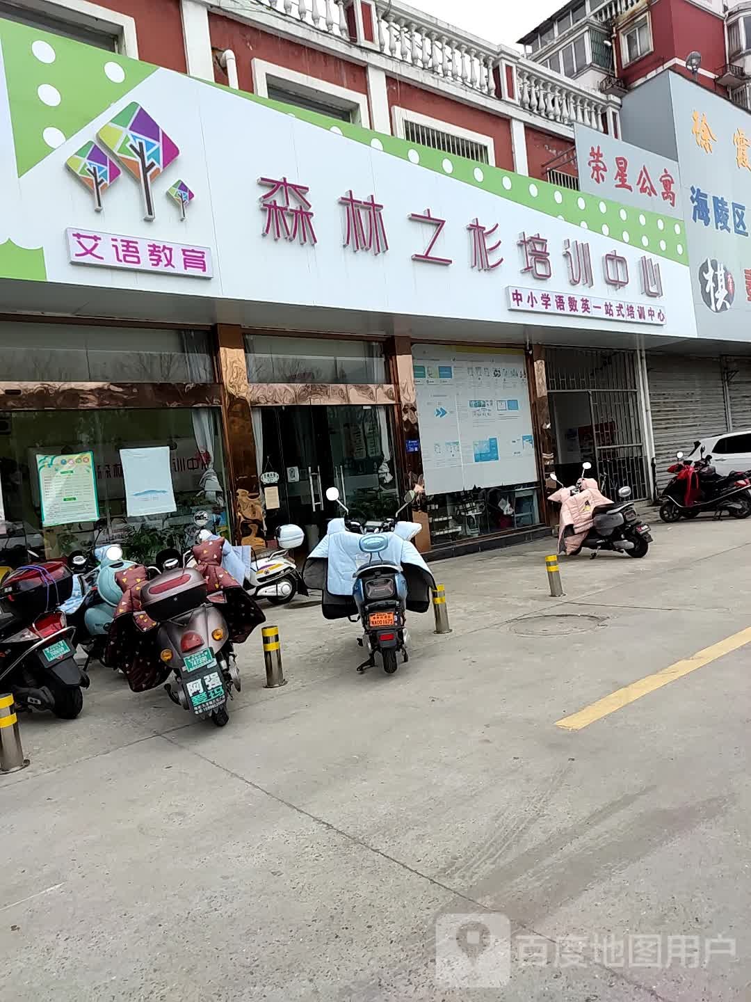 森林之杉培训中新