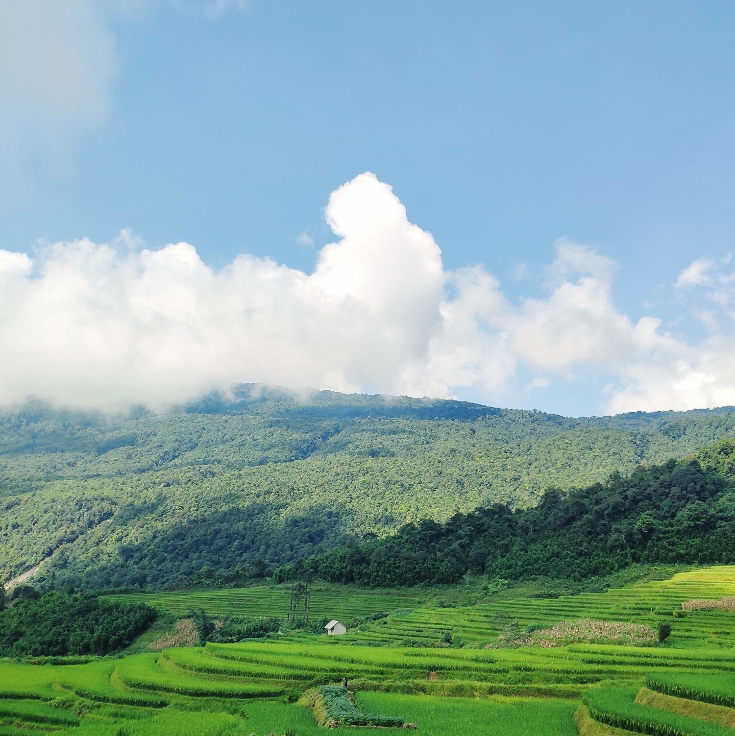 中国红河蝴蝶谷景区