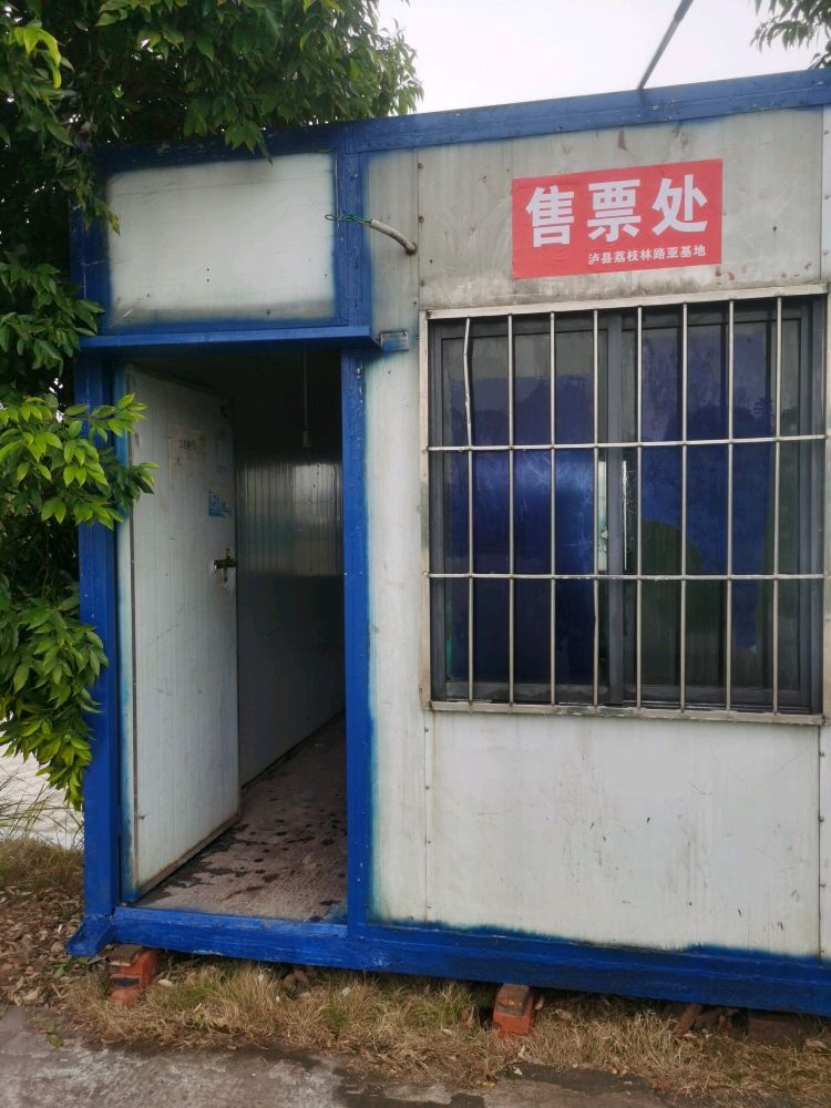 泸县百年荔枝园路亚基地