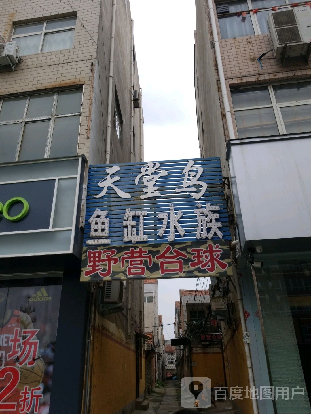 野营台球(新华路店)