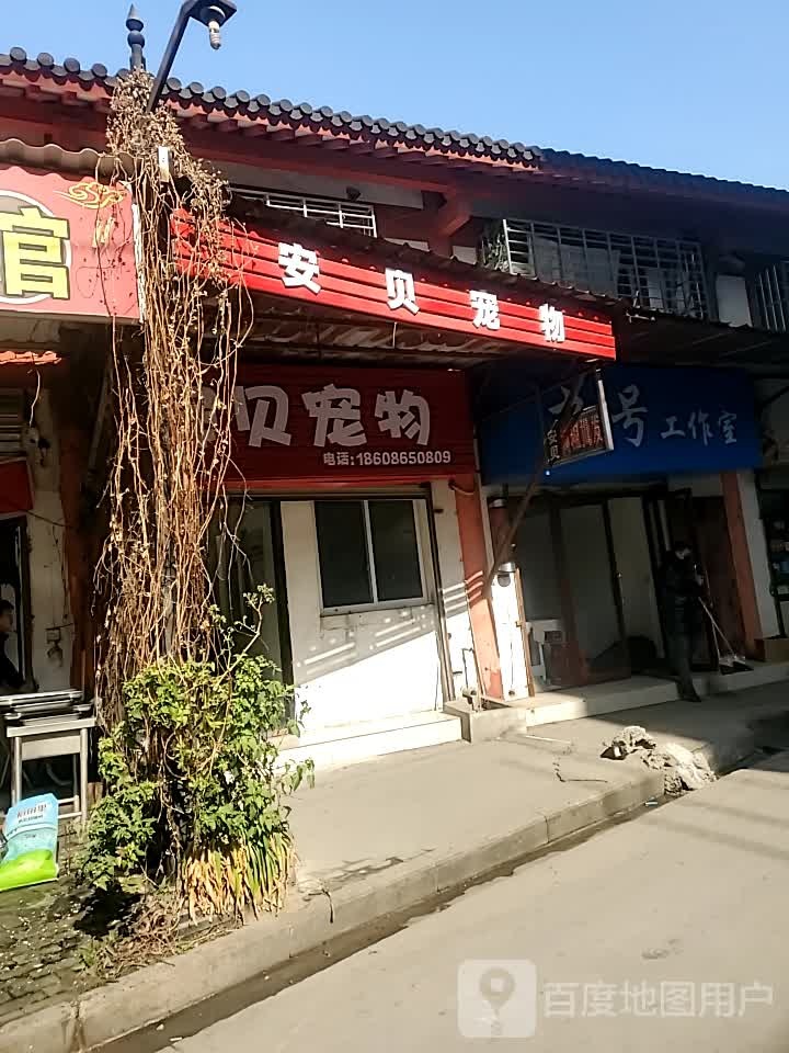 安碚宠物店