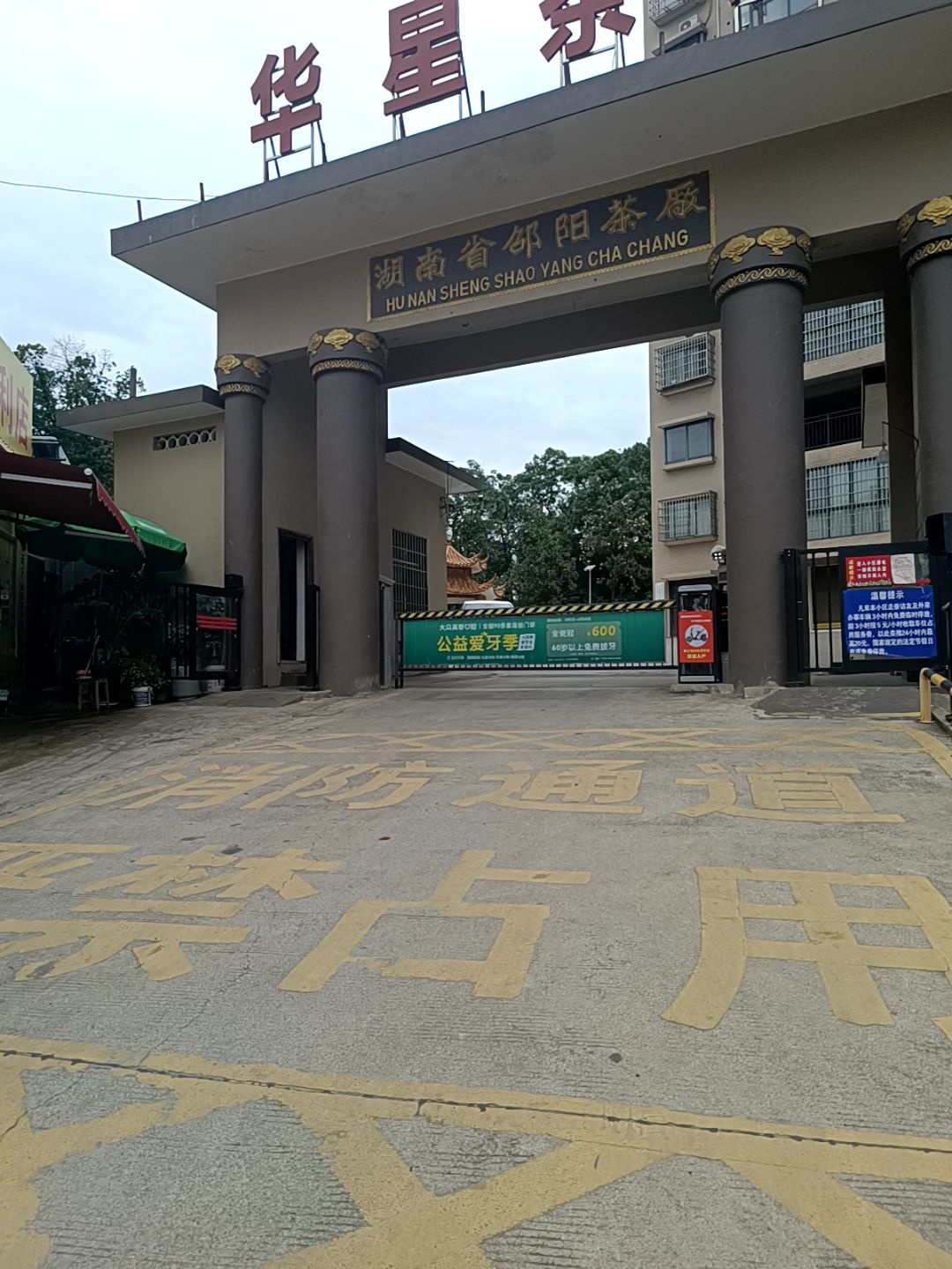 湖南省邵阳茶厂