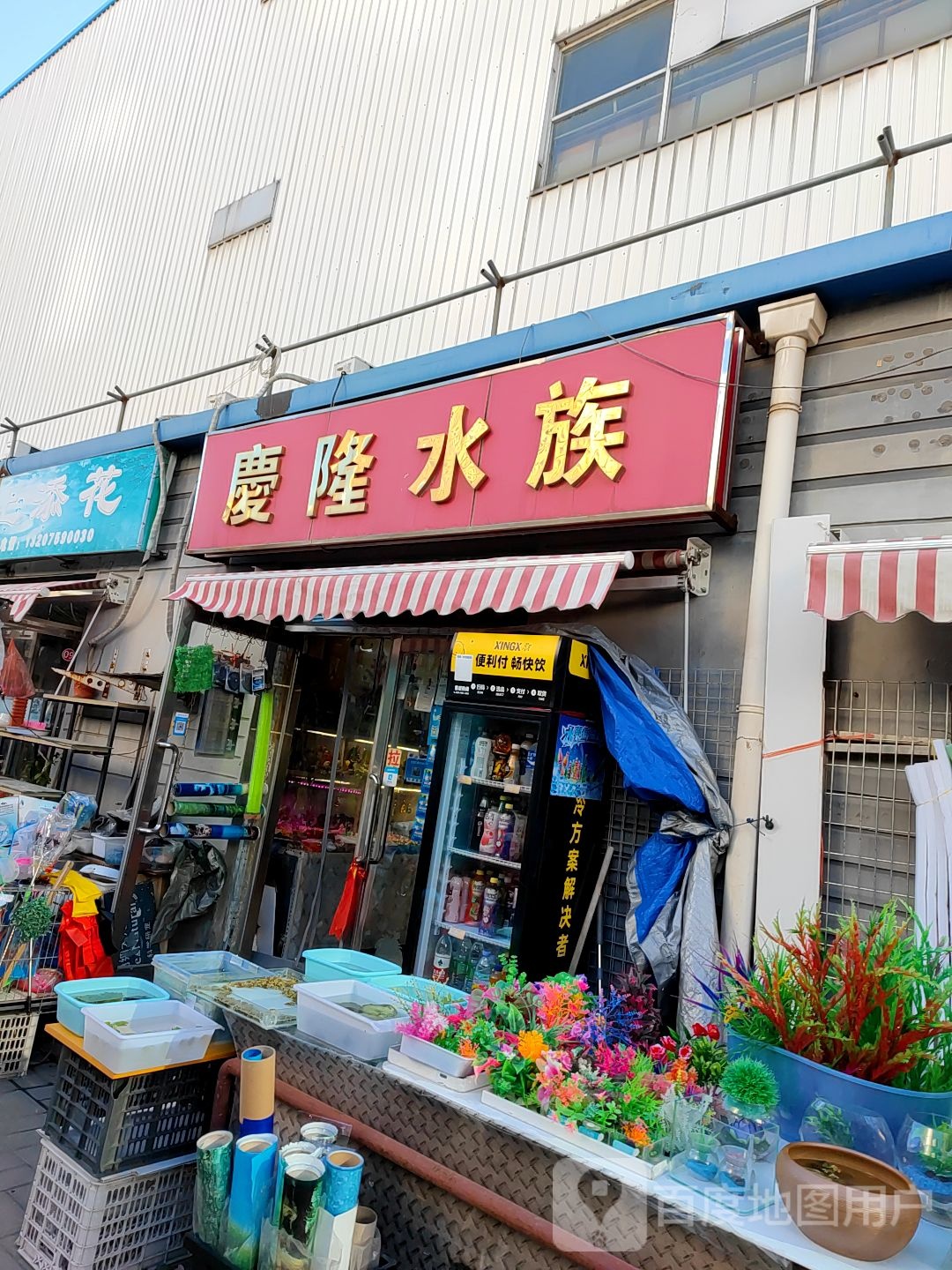 庆隆水族(登发家装市场店)