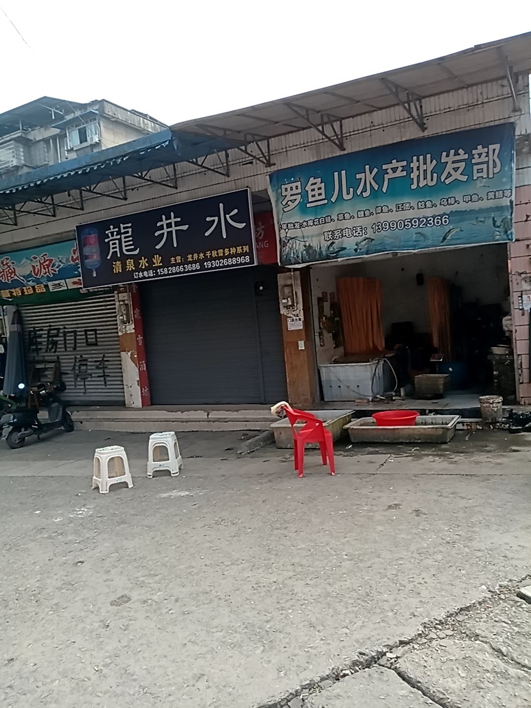 罗鱼儿水产批发部