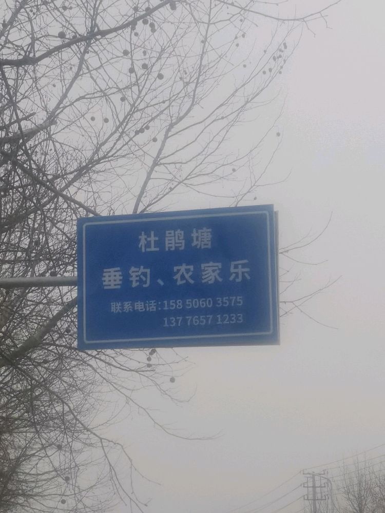 杜鹃塘垂钓餐饮