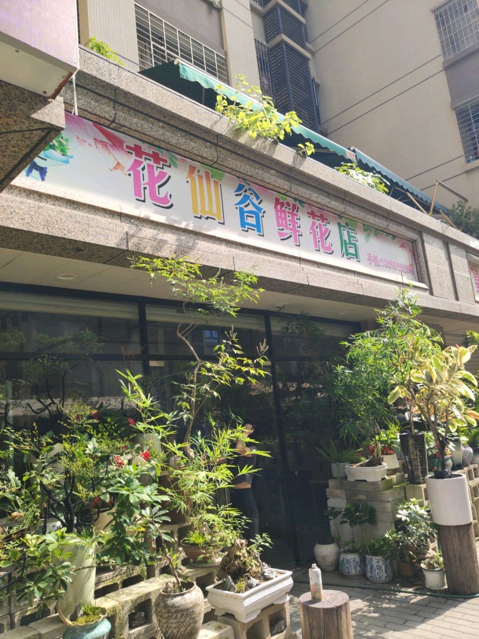 花仙谷花店(枋湖西三路店)