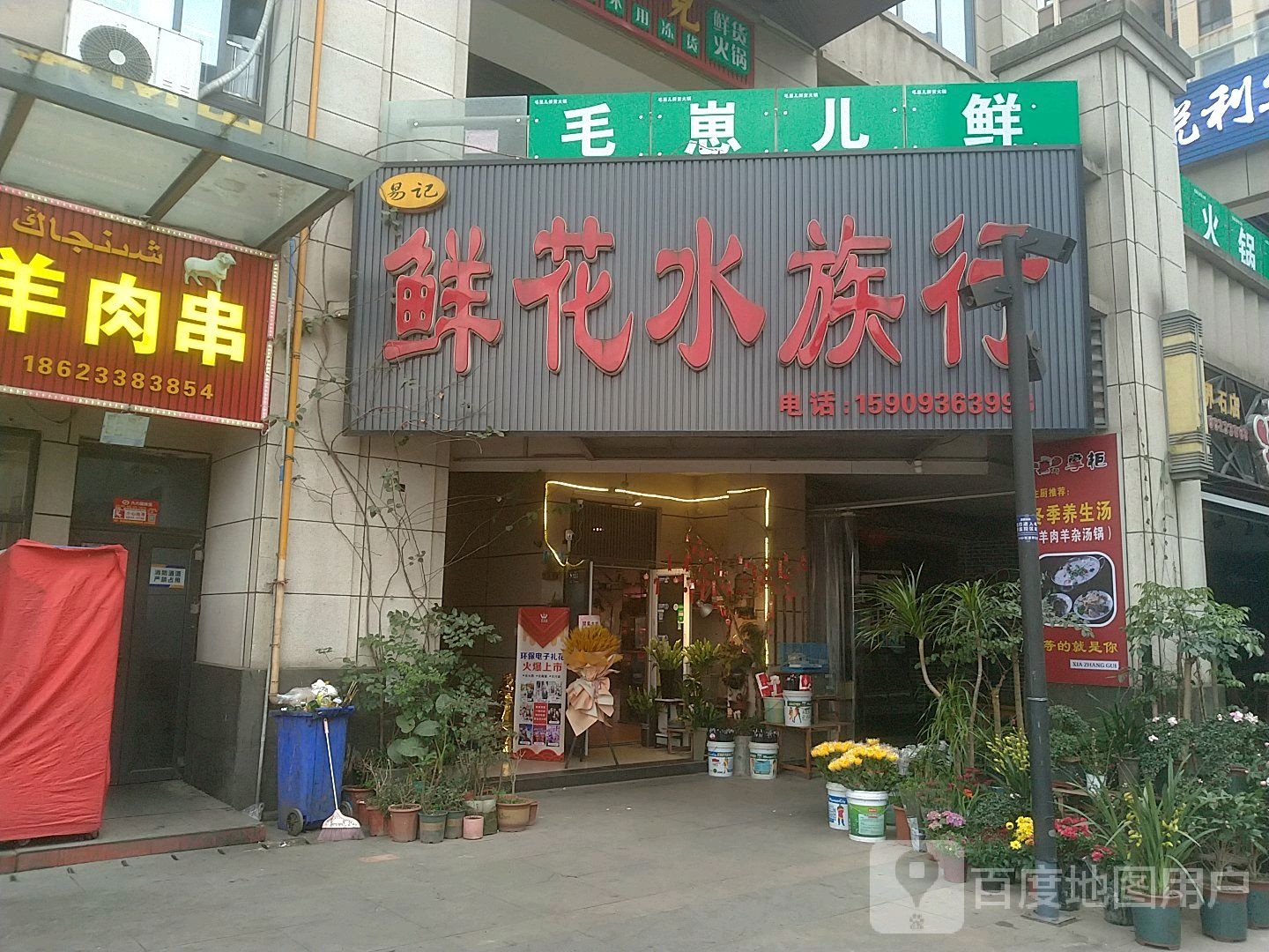 易计鲜花水族行(界石三分店)