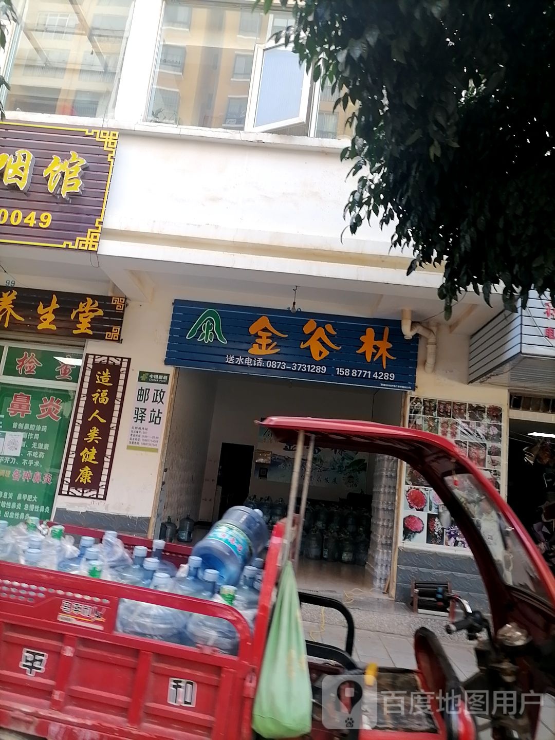金谷林
