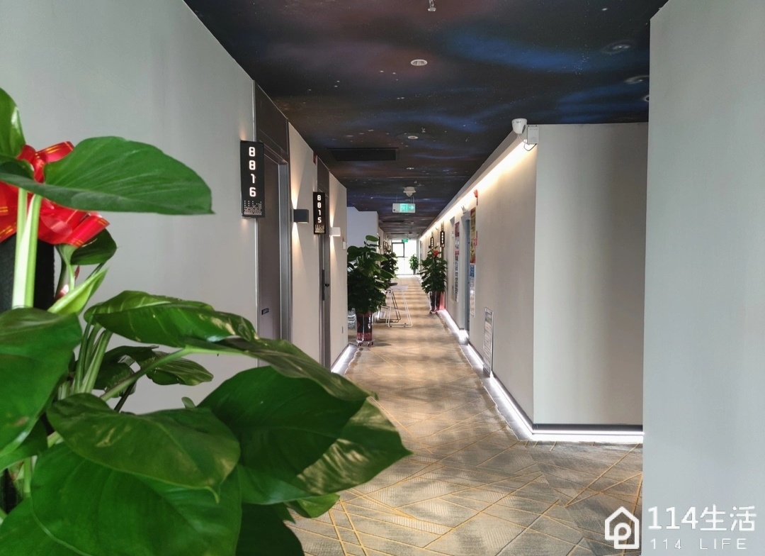 暴走熊电竞酒店