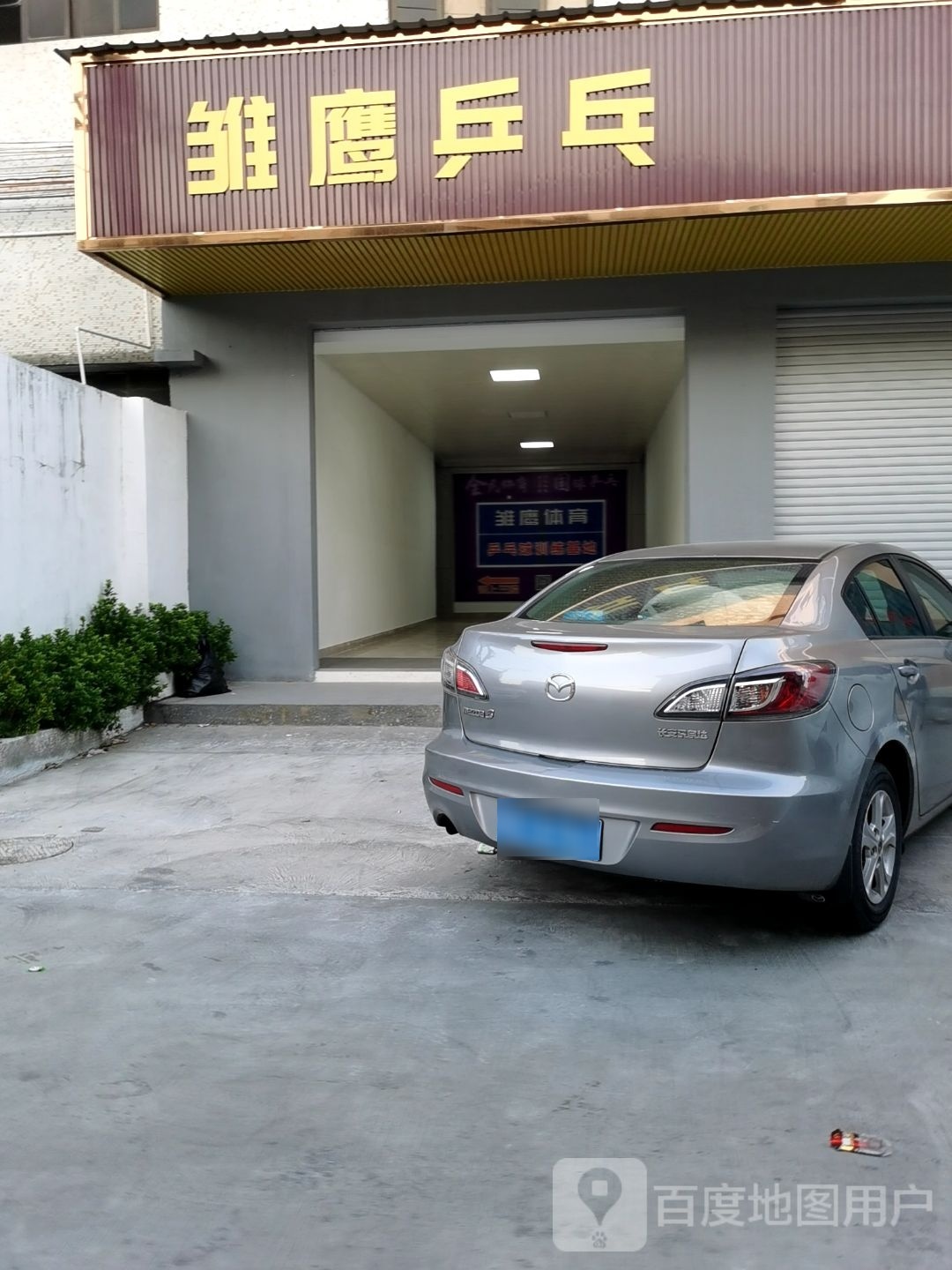 雏鹰乒乓球