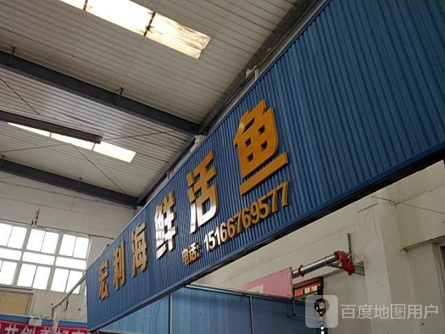 宏利海鲜活鱼