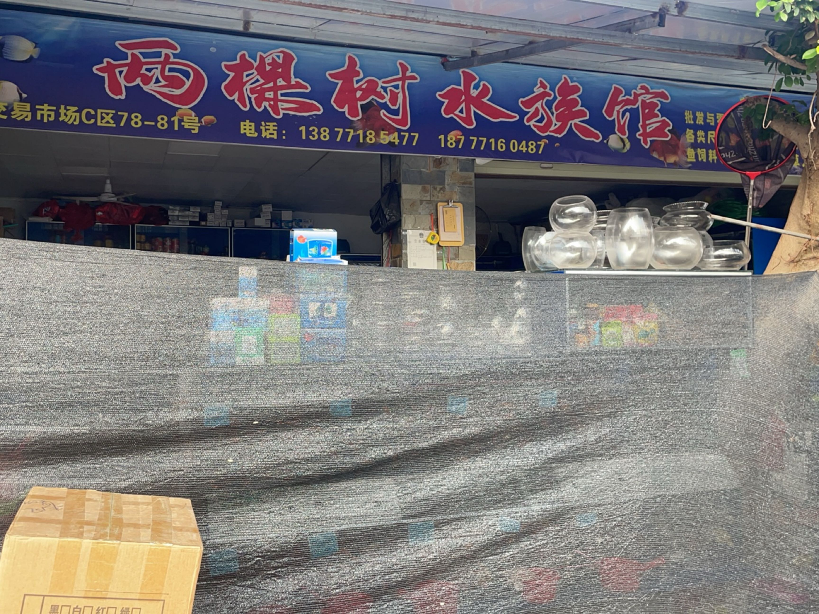 两棵树水族馆