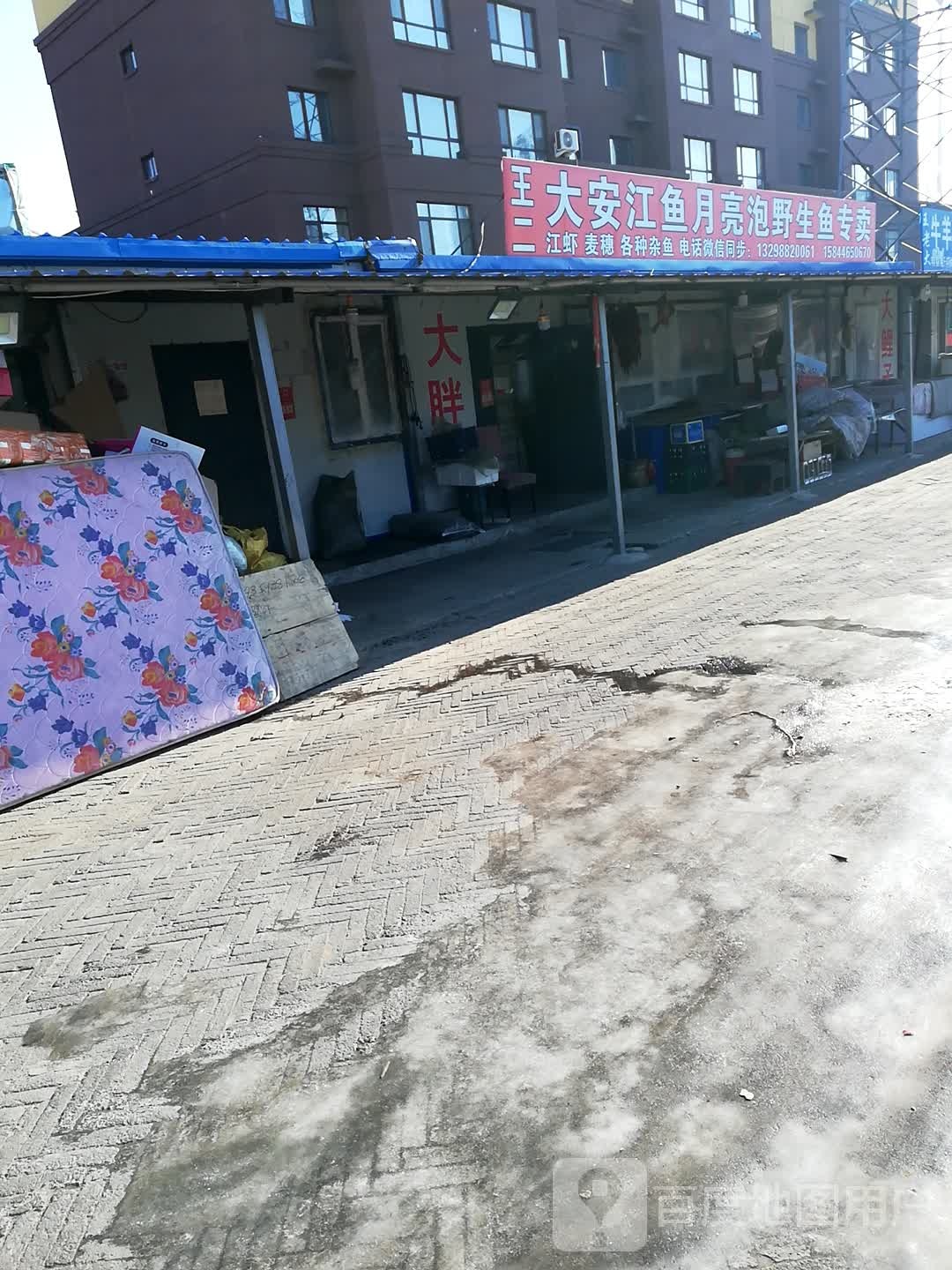 王二大安江鱼月亮泡野生鱼专卖