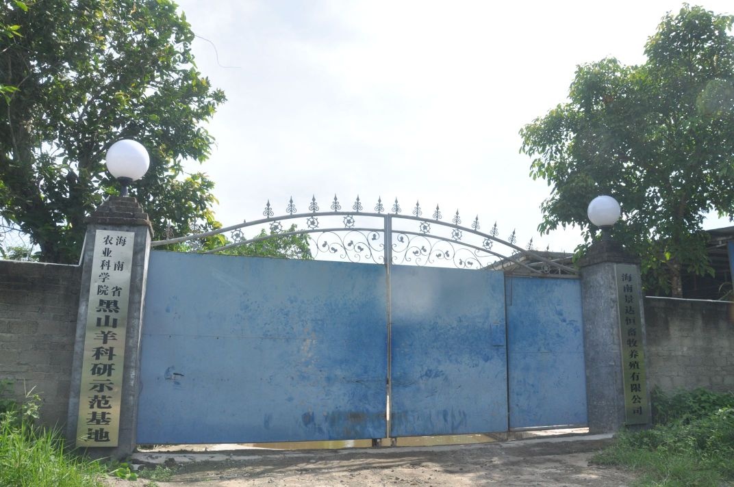 海南省农业科学院黑山羊科研示范基地