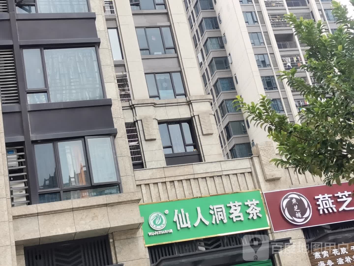 仙人洞茗茶