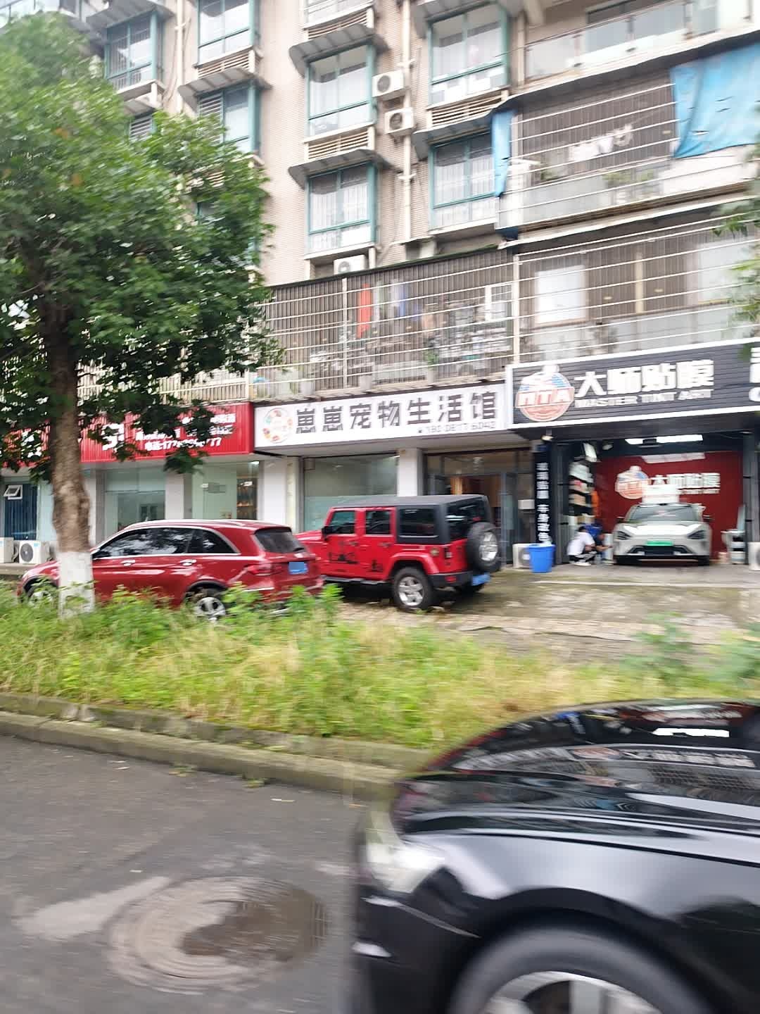 崽崽宠物生活馆(龙吟水郡店)