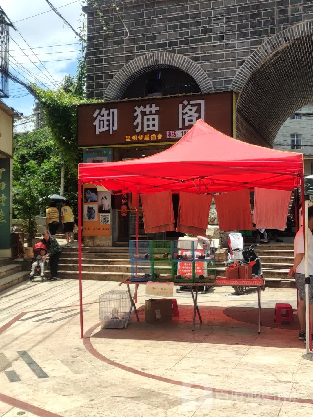 御猫阁宠物店