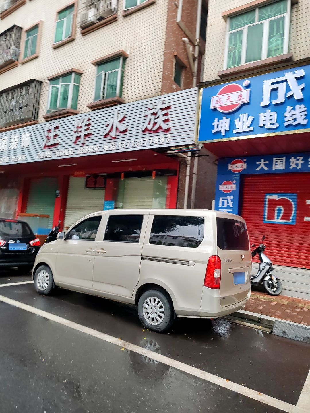 汪洋水族(塘厦店)