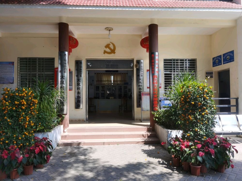 昌江黎族自治县昌化镇大风村退役军人服务站