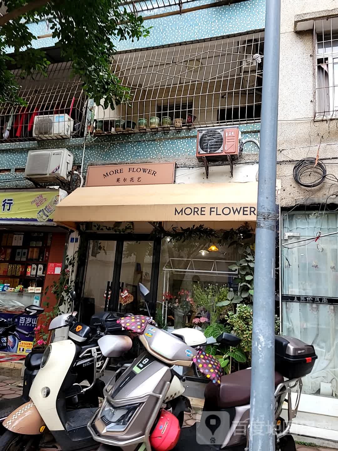 莫尔花艺