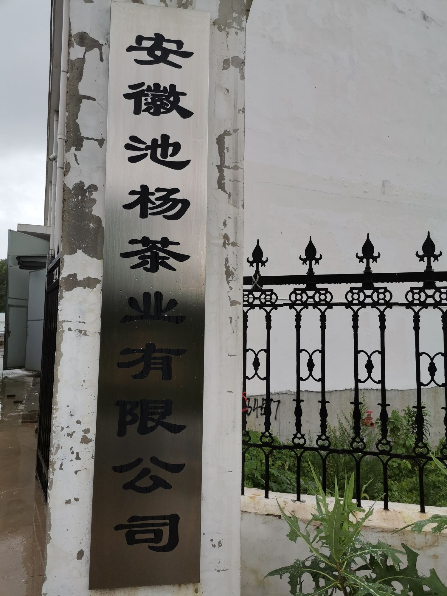 安徽池杨茶业有限公司