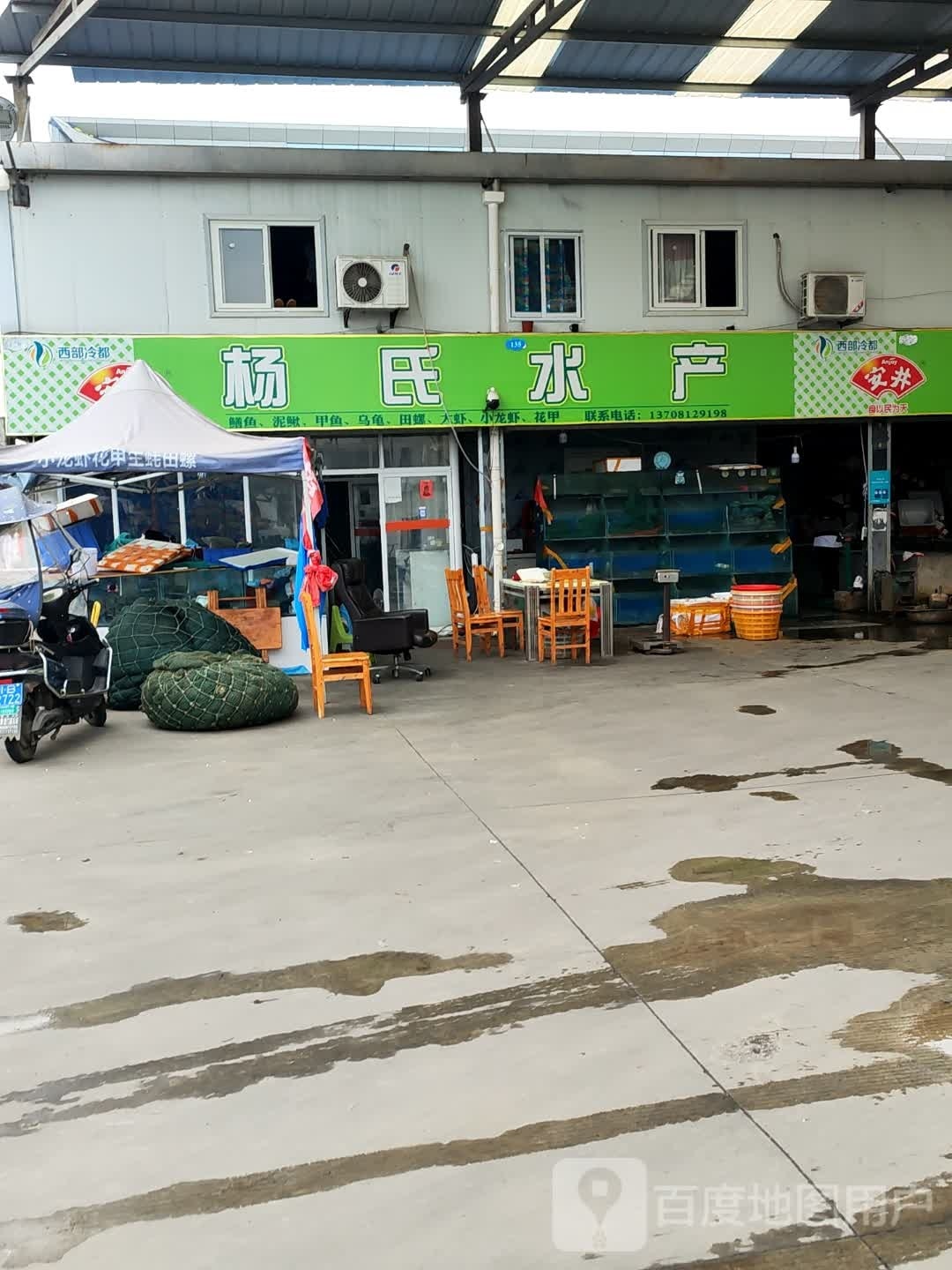 聪撬氏杨酉水产