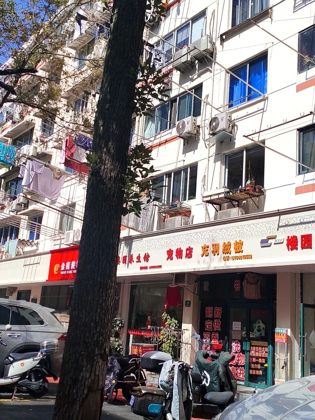 宠物店