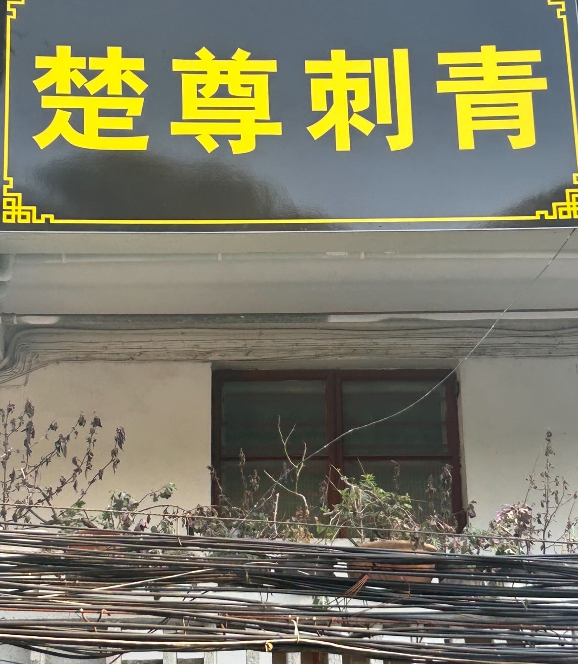 楚尊刺青