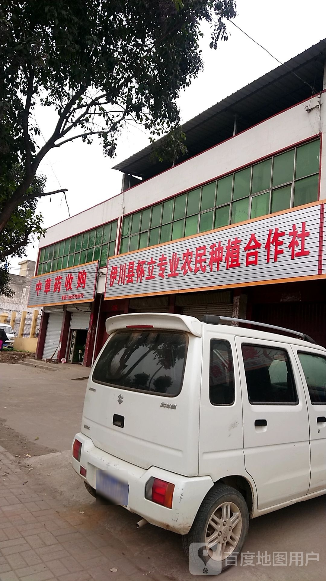 中草药收购