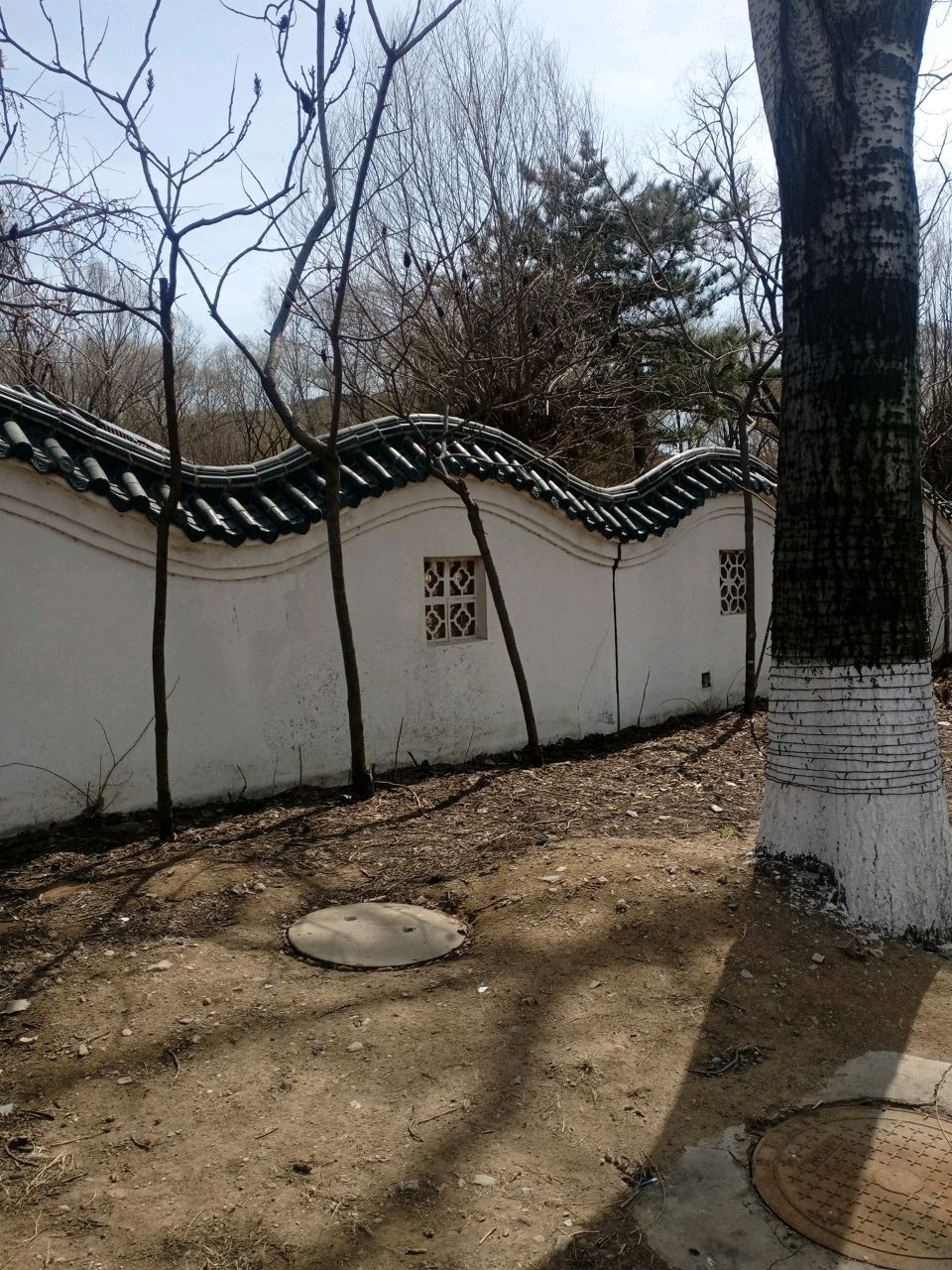 试锋园