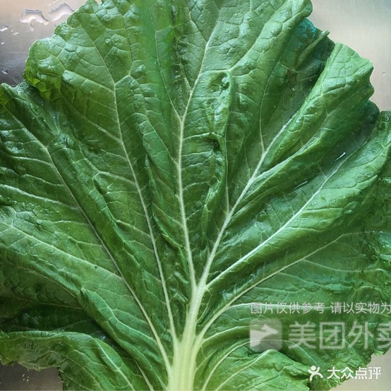 冬北饭包