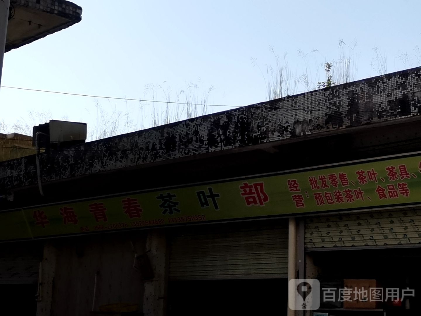 华海青春茶叶部