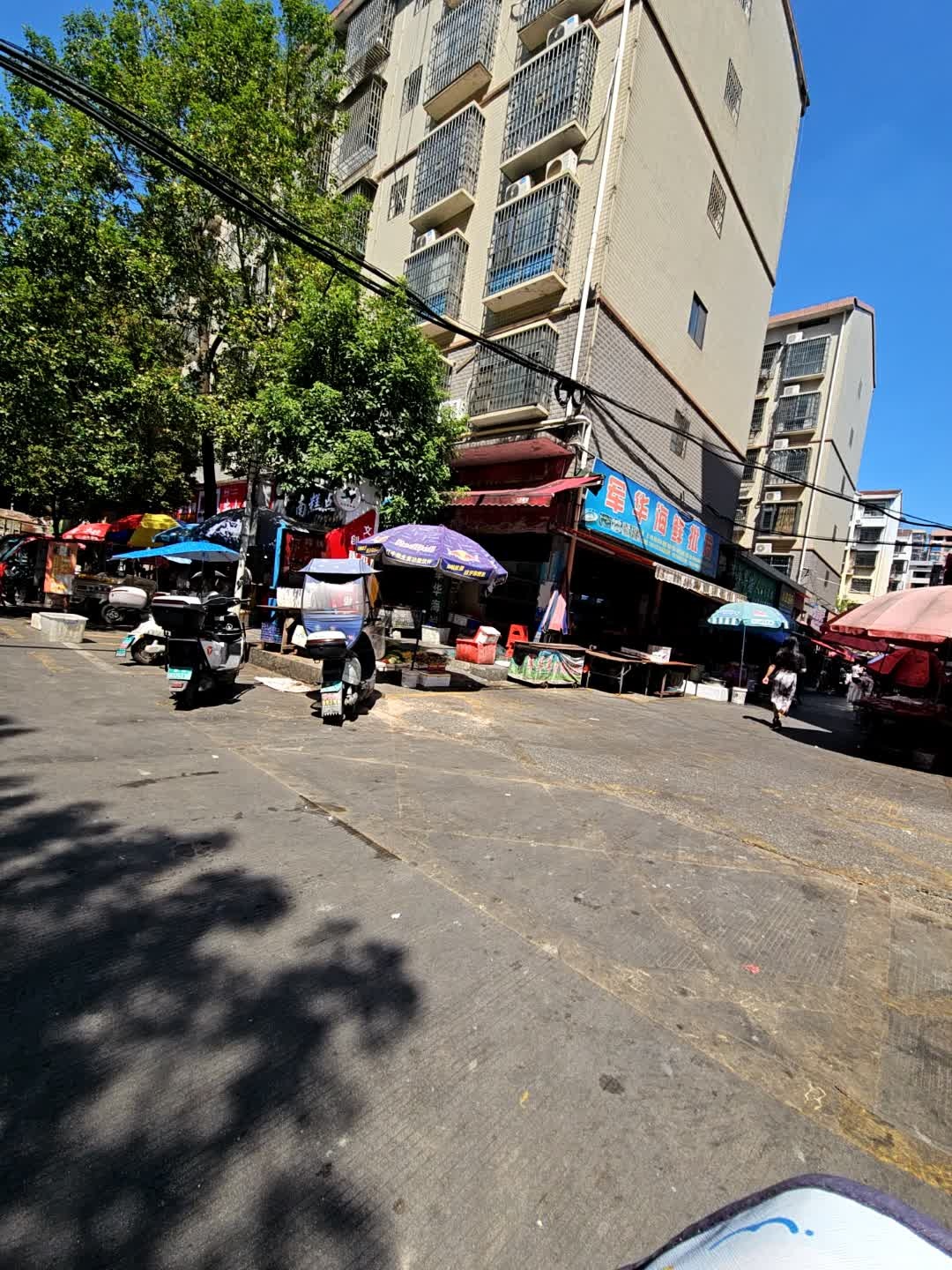 军华海鲜批发