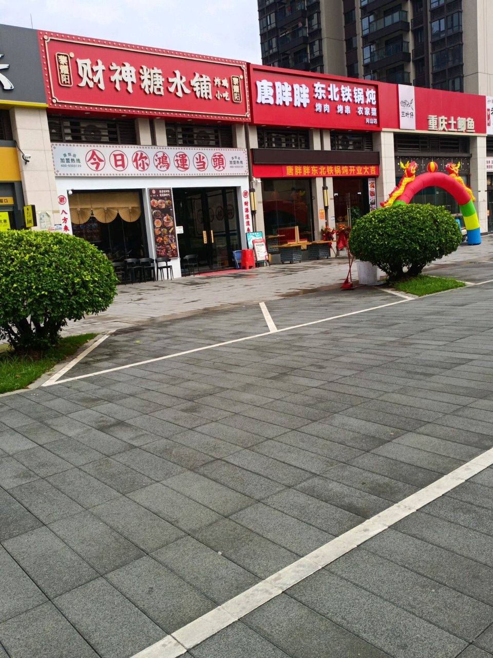 唐胖胖东北铁锅炖(凫山店)