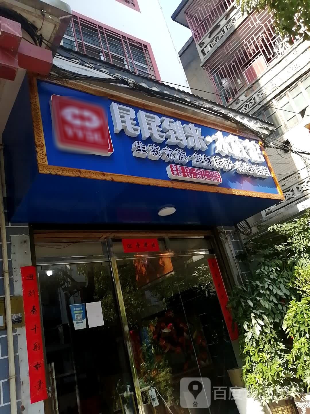 尾尾到来·水族馆