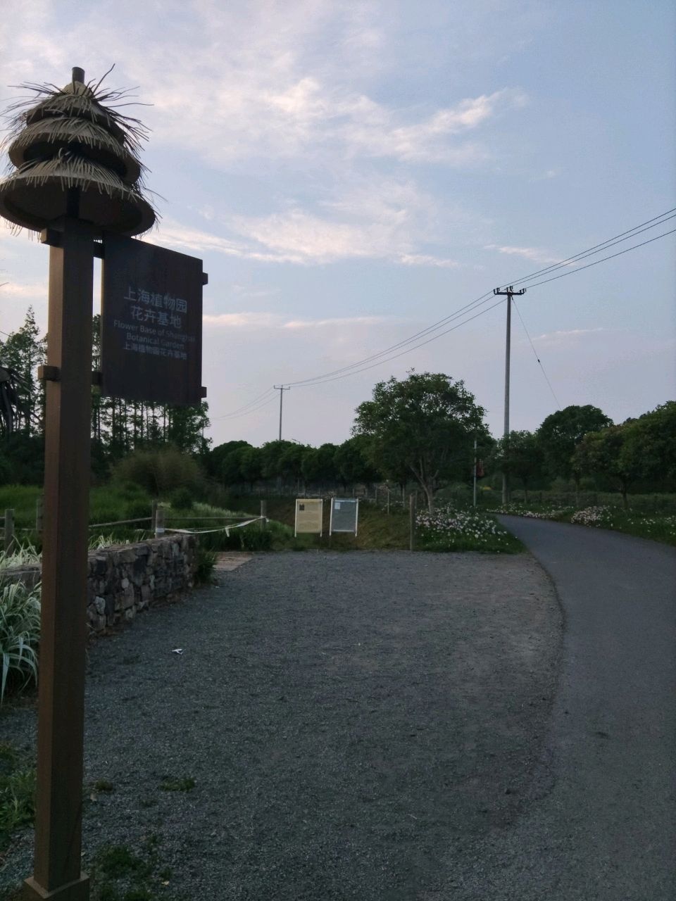 芳香植物资源圃