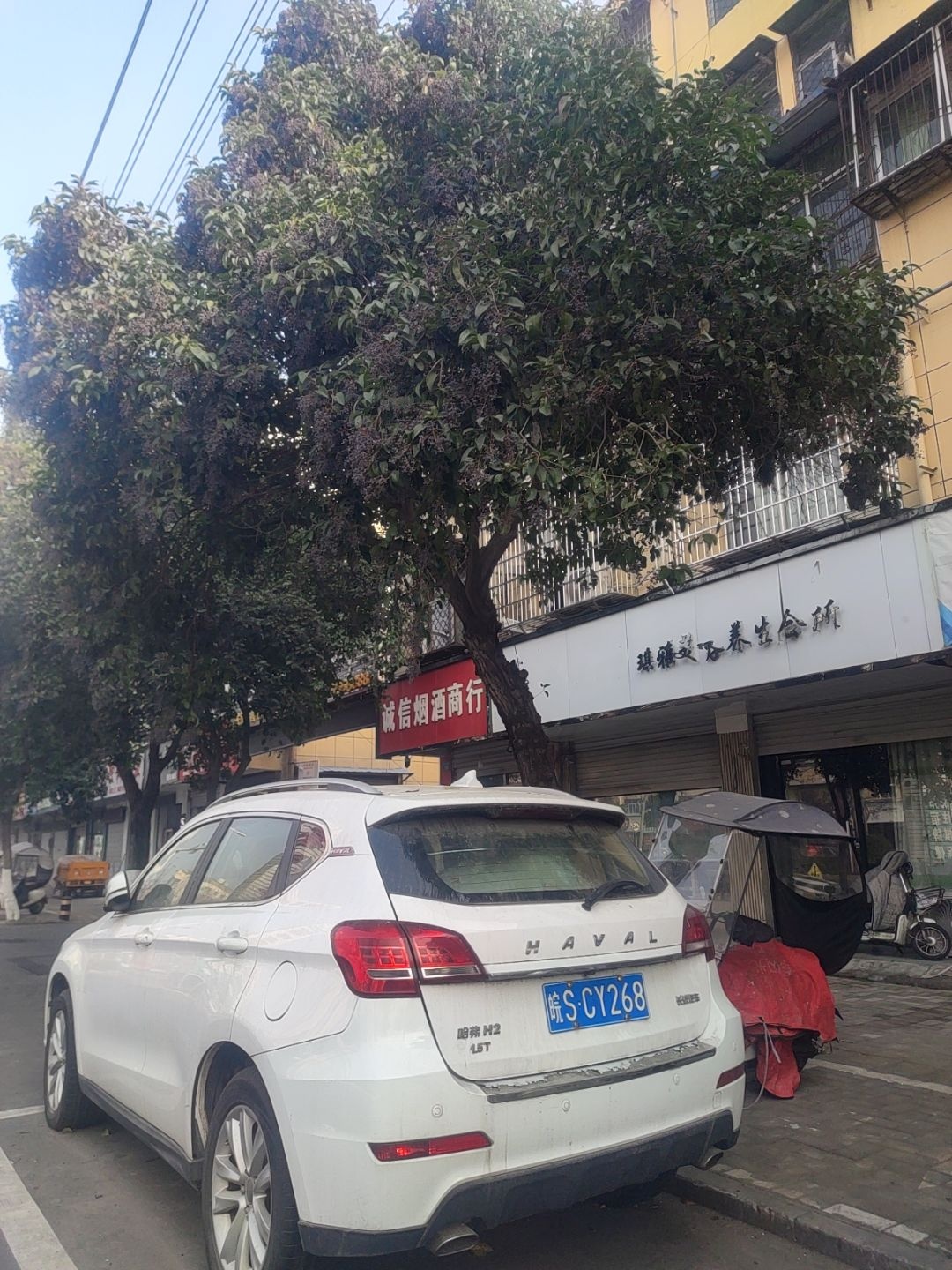 中药热敷调理瘦身