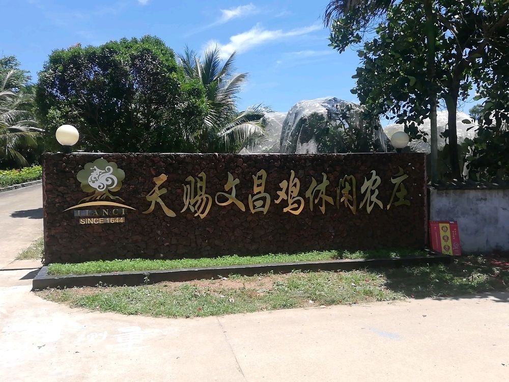 天赐文昌鸡休闲农庄