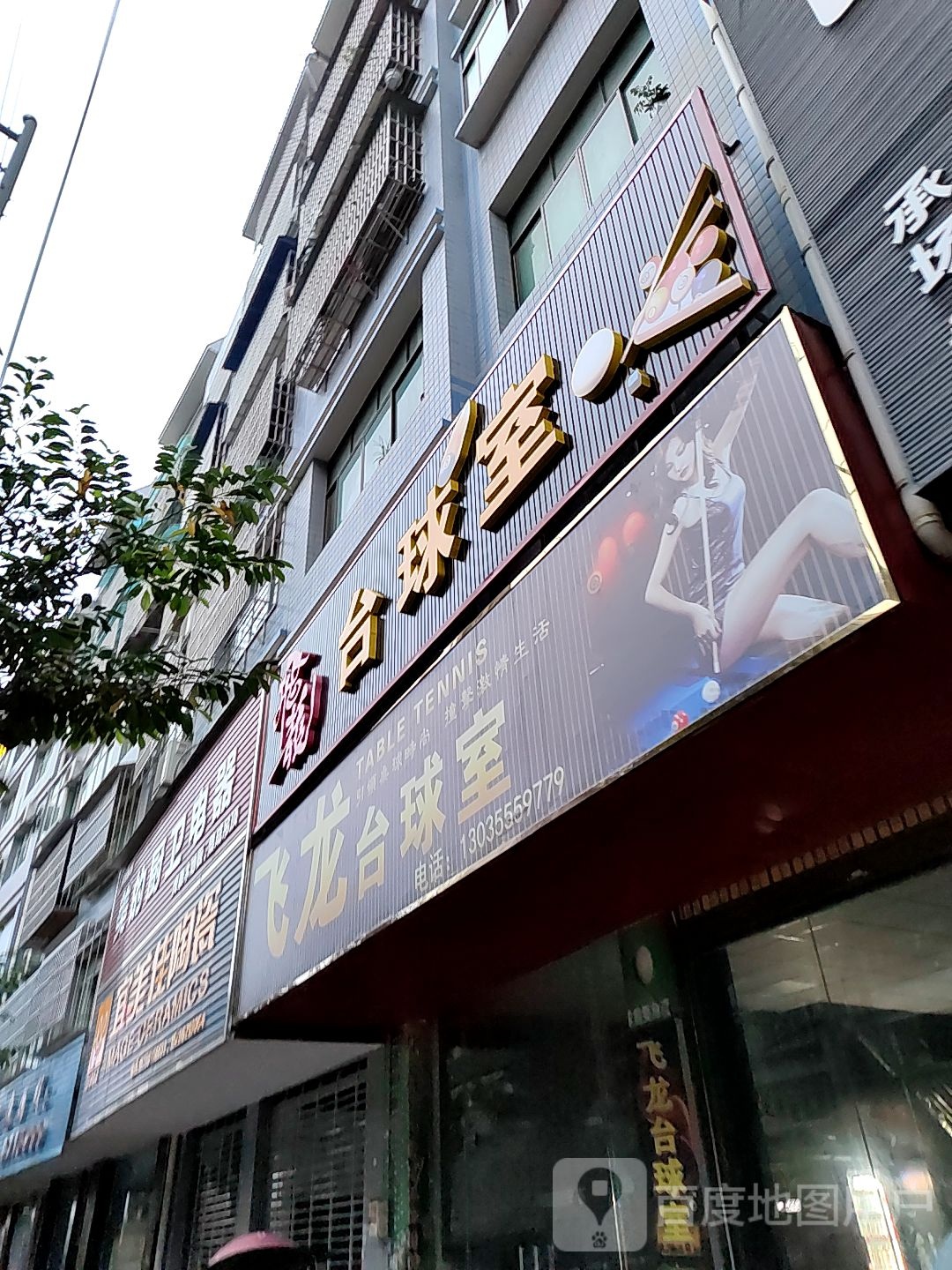 飞龙泰球室