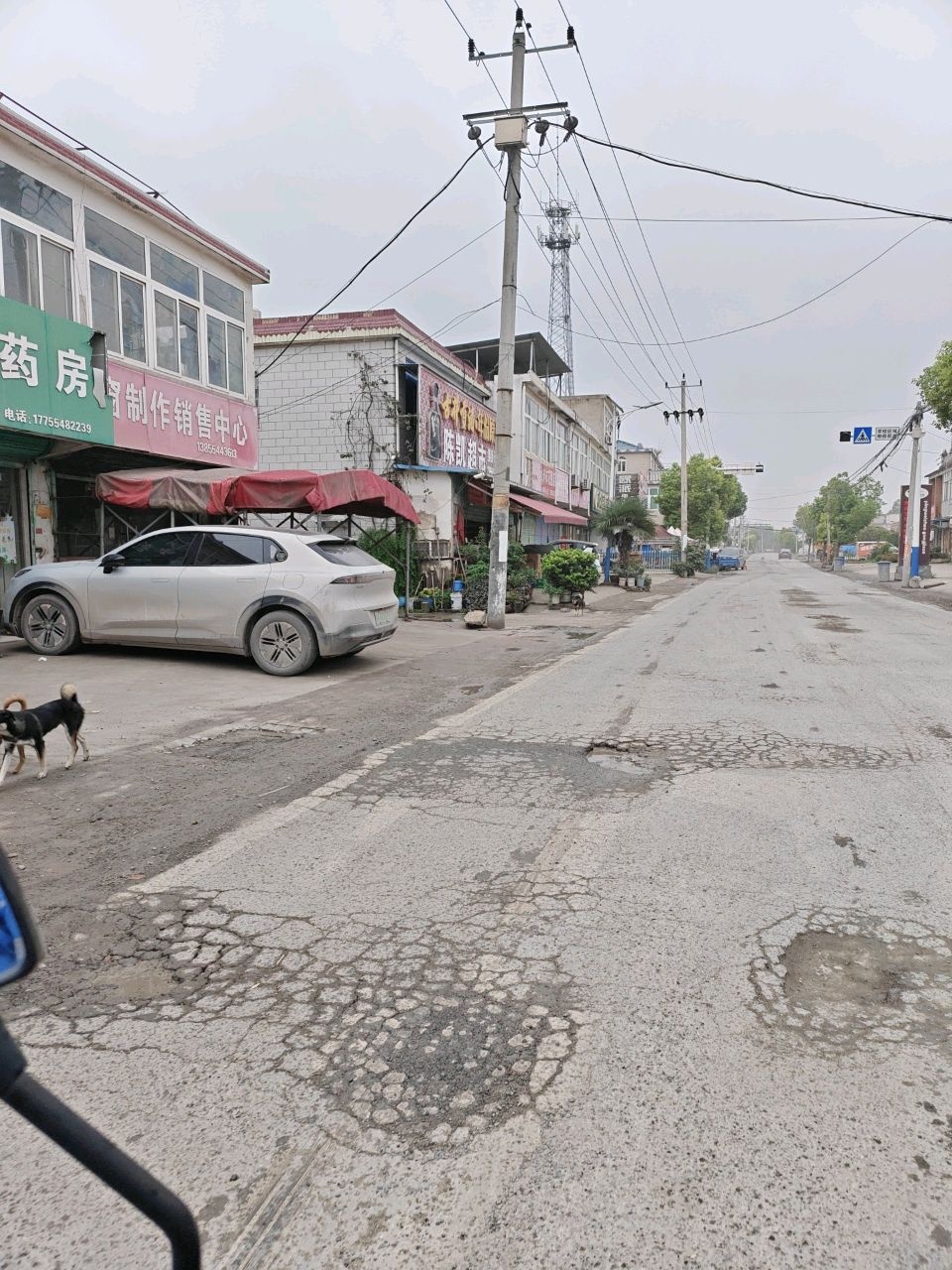 陈凯超市