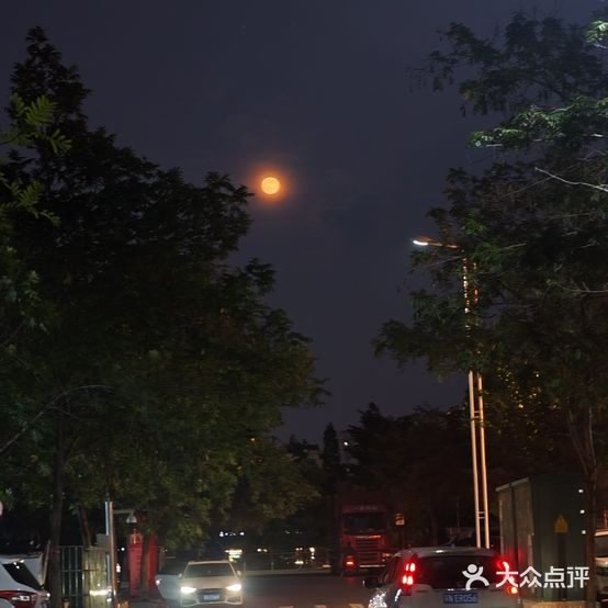 咖啡猫电竞馆(五马路大润发店)
