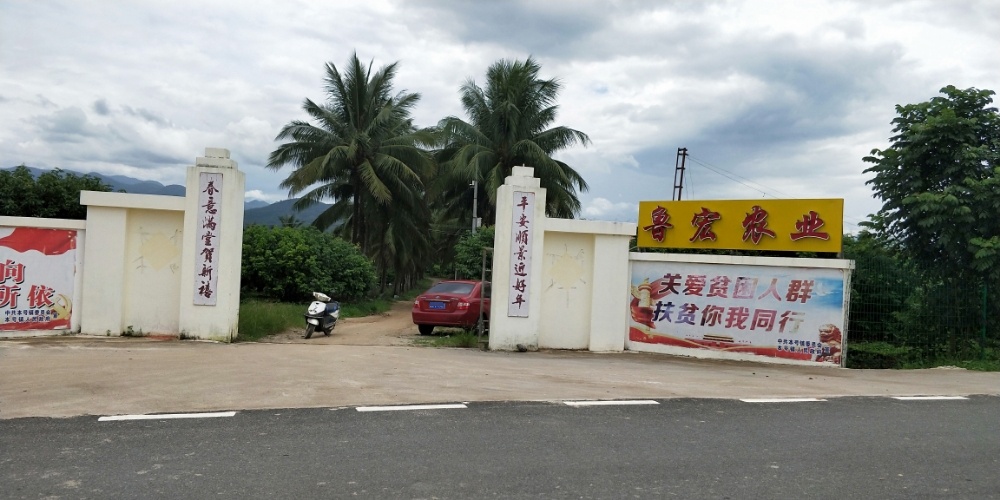 海南陵水鲁宏农业开发有限公司